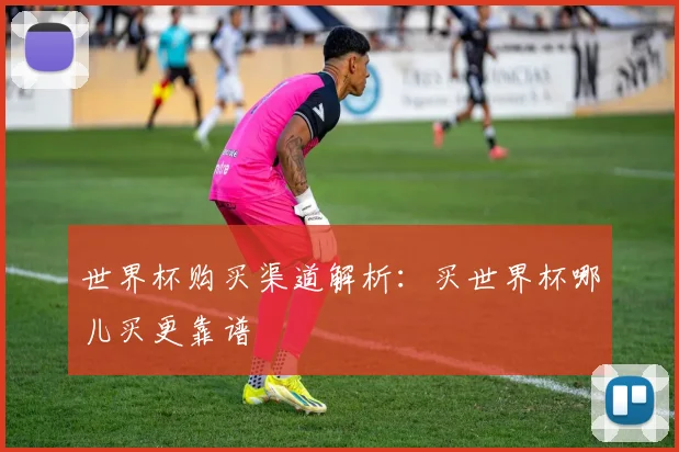 世界杯购买渠道解析:买世界杯哪儿买更靠谱