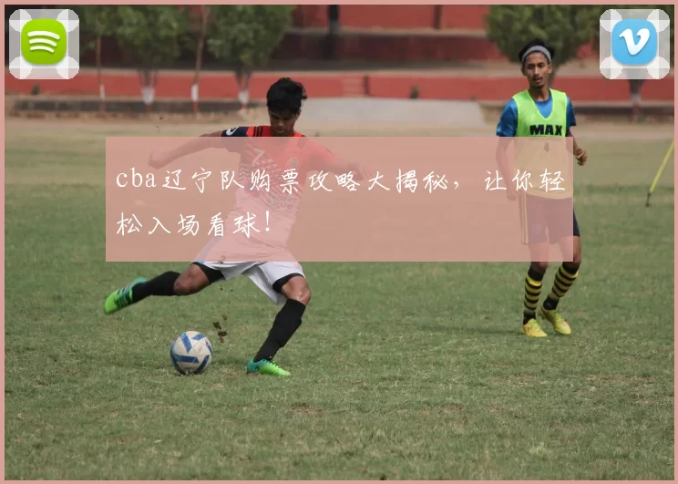 cba辽宁队购票攻略大揭秘，让你轻松入场看球！