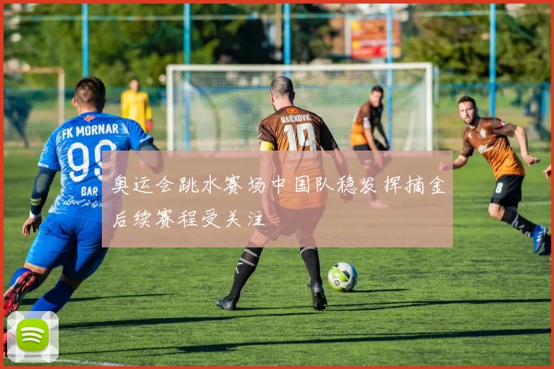 奥运会跳水赛场中国队稳发挥摘金后续赛程受关注