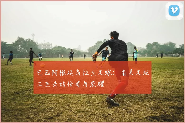 巴西阿根廷乌拉圭足球:南美足坛三巨头的传奇与荣耀