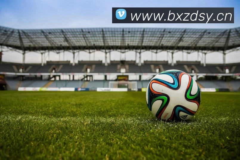 Kaiyun (中国官方网站) - 官方认证的服务平台平台生态图